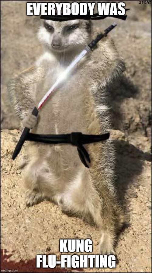 ninja meerkat | EVERYBODY WAS; KUNG FLU-FIGHTING | image tagged in ninja meerkat,kung flu,coronavirus,memes | made w/ Imgflip meme maker