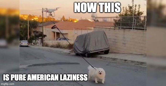 Gotta Do What Ya Gotta Do | NOW THIS; IS PURE AMERICAN LAZINESS | image tagged in dogs,coronavirus,social distancing | made w/ Imgflip meme maker