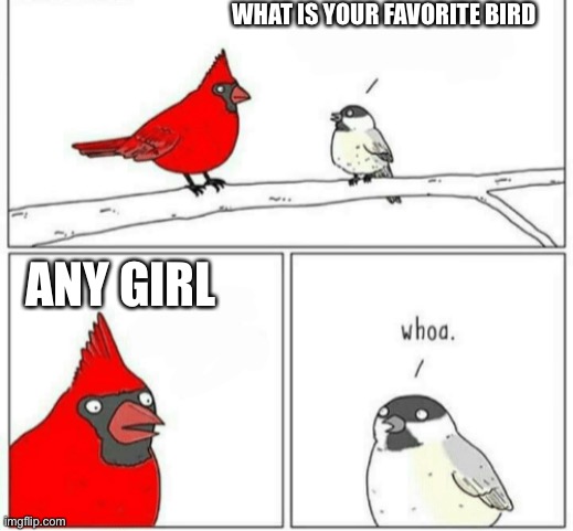 Whoa Bird | WHAT IS YOUR FAVORITE BIRD ANY GIRL | image tagged in whoa bird | made w/ Imgflip meme maker