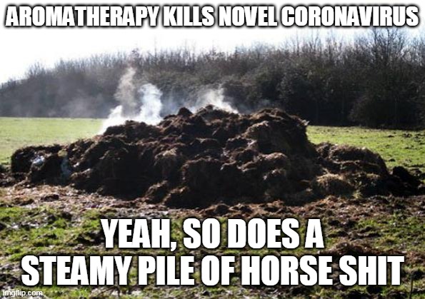 Steaming pile of shit | AROMATHERAPY KILLS NOVEL CORONAVIRUS; YEAH, SO DOES A STEAMY PILE OF HORSE SHIT | image tagged in steaming pile of shit | made w/ Imgflip meme maker