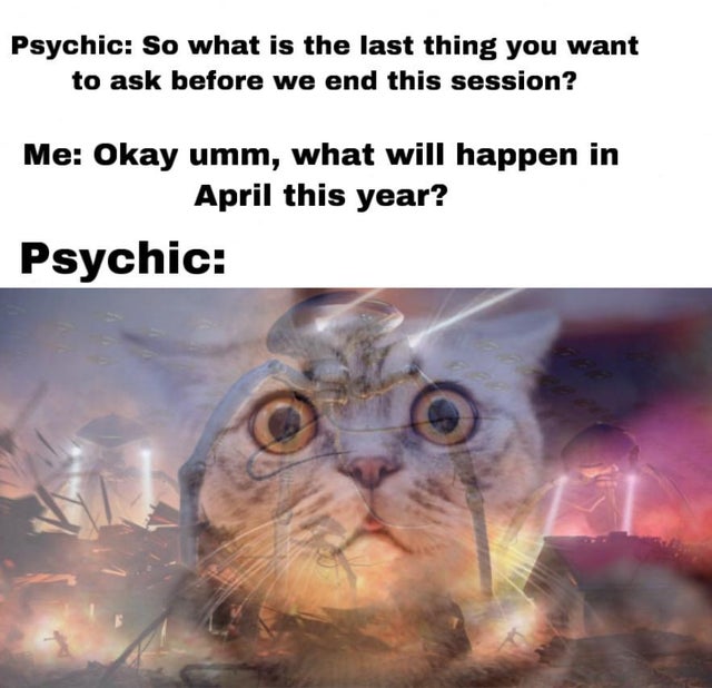 Cat psychic Blank Meme Template