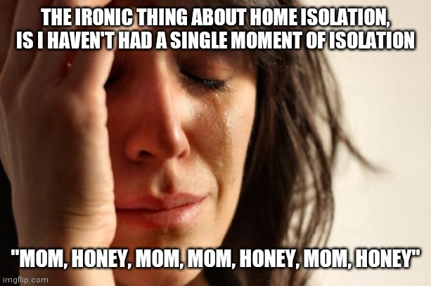 I got my alone time when they were at work and school, or got away when I was at work | THE IRONIC THING ABOUT HOME ISOLATION, IS I HAVEN'T HAD A SINGLE MOMENT OF ISOLATION; "MOM, HONEY, MOM, MOM, HONEY, MOM, HONEY" | image tagged in memes,first world problems | made w/ Imgflip meme maker