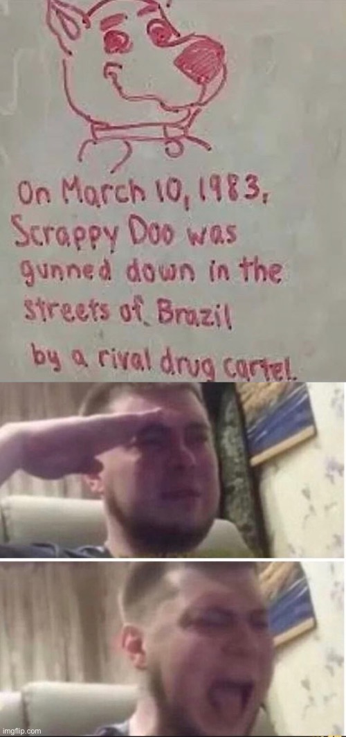 R.I.P | image tagged in crying salute,memes,funny,rip,drugs | made w/ Imgflip meme maker