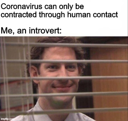 Jim Halpert | Coronavirus can only be contracted through human contact; Me, an introvert: | image tagged in jim halpert,memes,funny,coronavirus | made w/ Imgflip meme maker