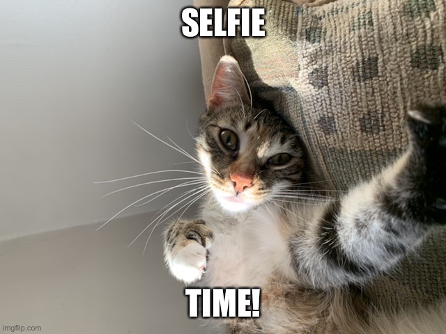 Selfie time! | SELFIE; TIME! | image tagged in selfie time | made w/ Imgflip meme maker