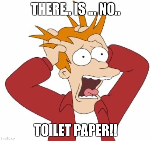 Fry Freaking Out | THERE.. IS ... NO.. TOILET PAPER!! | image tagged in fry freaking out | made w/ Imgflip meme maker