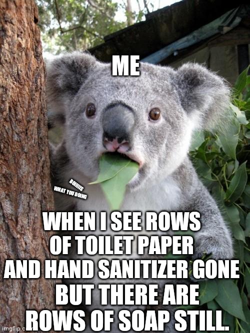 Surprised Koala Meme | ME; WHAT YOU DOING; BOIIIIIS; WHEN I SEE ROWS OF TOILET PAPER AND HAND SANITIZER GONE; BUT THERE ARE ROWS OF SOAP STILL. | image tagged in memes,surprised koala | made w/ Imgflip meme maker