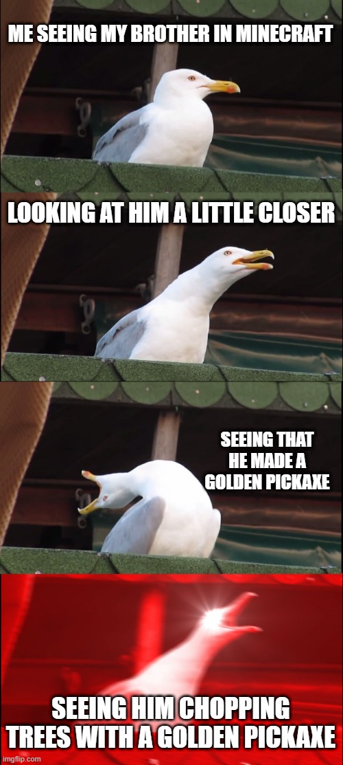 Inhaling Seagull Meme | ME SEEING MY BROTHER IN MINECRAFT; LOOKING AT HIM A LITTLE CLOSER; SEEING THAT HE MADE A GOLDEN PICKAXE; SEEING HIM CHOPPING TREES WITH A GOLDEN PICKAXE | image tagged in memes,inhaling seagull | made w/ Imgflip meme maker