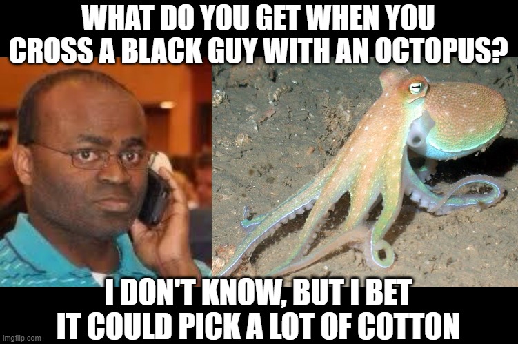 Bale Harvester | WHAT DO YOU GET WHEN YOU CROSS A BLACK GUY WITH AN OCTOPUS? I DON'T KNOW, BUT I BET IT COULD PICK A LOT OF COTTON | image tagged in manager octopus | made w/ Imgflip meme maker