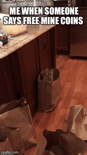 My cats mine coins | image tagged in gifs | made w/ Imgflip images-to-gif maker