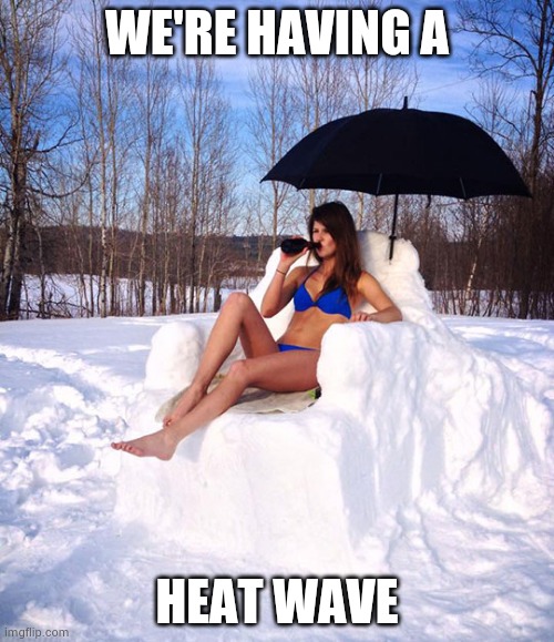 Sun bathing | WE'RE HAVING A HEAT WAVE | image tagged in sun bathing | made w/ Imgflip meme maker