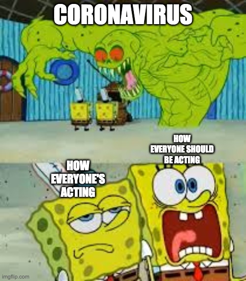 Scared Spongebob and Boomer spongebob | CORONAVIRUS; HOW EVERYONE SHOULD BE ACTING; HOW EVERYONE'S ACTING | image tagged in scared spongebob and boomer spongebob | made w/ Imgflip meme maker