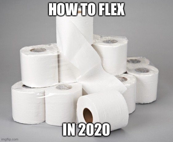 toilet paper | HOW TO FLEX; IN 2020 | image tagged in toilet paper | made w/ Imgflip meme maker