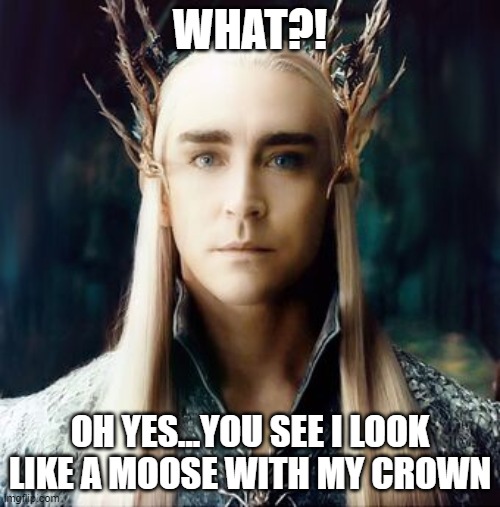 thranduil the moose | WHAT?! OH YES...YOU SEE I LOOK LIKE A MOOSE WITH MY CROWN | image tagged in thranduil the moose | made w/ Imgflip meme maker