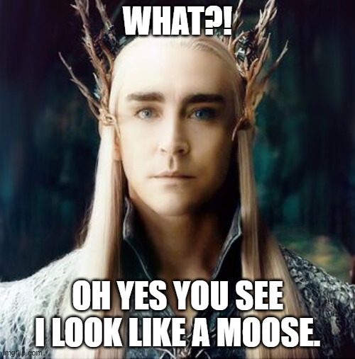 thranduil the moose | WHAT?! OH YES YOU SEE I LOOK LIKE A MOOSE. | image tagged in thranduil the moose | made w/ Imgflip meme maker