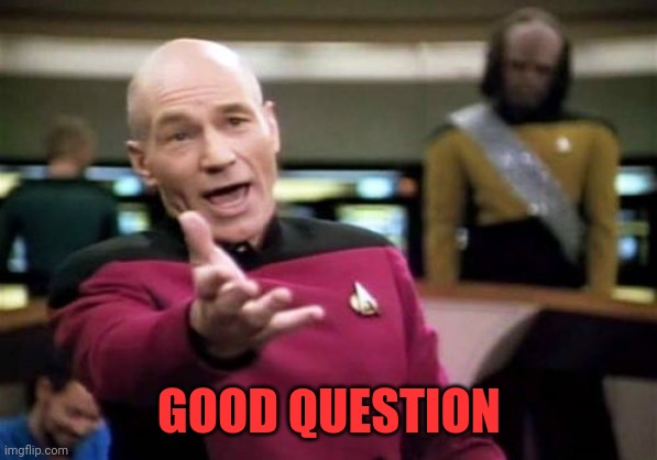 Picard Wtf Meme | GOOD QUESTION | image tagged in memes,picard wtf | made w/ Imgflip meme maker