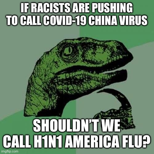 Philosoraptor Meme | IF RACISTS ARE PUSHING TO CALL COVID-19 CHINA VIRUS; SHOULDN’T WE CALL H1N1 AMERICA FLU? | image tagged in memes,philosoraptor | made w/ Imgflip meme maker