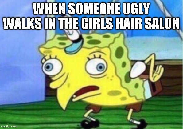 Mocking Spongebob Meme | WHEN SOMEONE UGLY WALKS IN THE GIRLS HAIR SALON | image tagged in memes,mocking spongebob | made w/ Imgflip meme maker