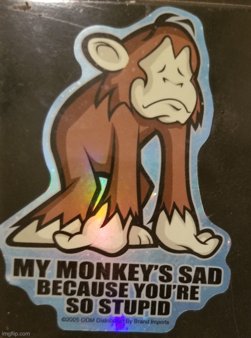 Sad little monkey | image tagged in sad little monkey | made w/ Imgflip meme maker