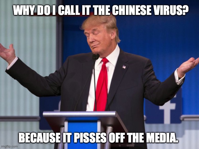 WHY DO I CALL IT THE CHINESE VIRUS? BECAUSE IT PISSES OFF THE MEDIA. | image tagged in trump,chinese virus,coronavirus | made w/ Imgflip meme maker