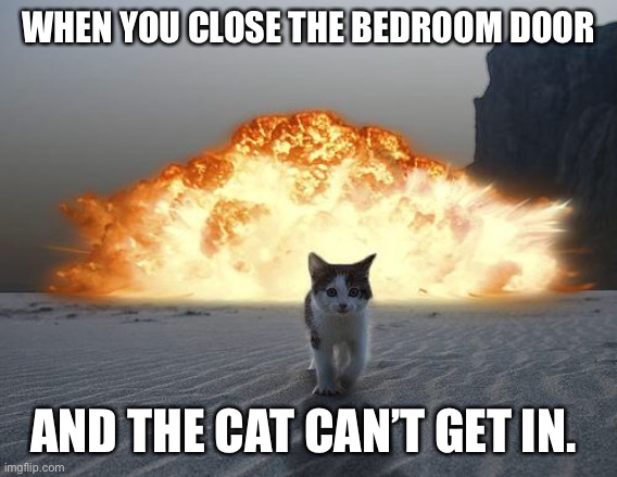 cat explosion | WHEN YOU CLOSE THE BEDROOM DOOR; AND THE CAT CAN’T GET IN. | image tagged in cat explosion | made w/ Imgflip meme maker