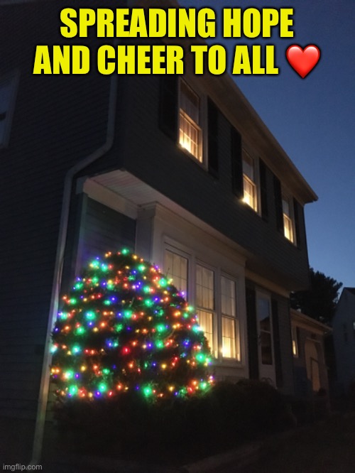 I put these up today :-) | SPREADING HOPE AND CHEER TO ALL ❤️ | image tagged in memes,coronavirus,christmas lights | made w/ Imgflip meme maker
