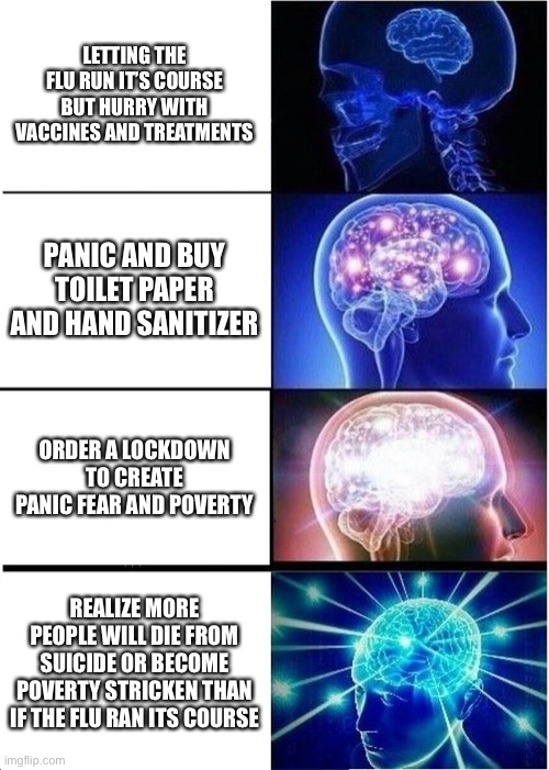 Expanding Brain | LETTING THE FLU RUN IT’S COURSE BUT HURRY WITH VACCINES AND TREATMENTS; PANIC AND BUY TOILET PAPER AND HAND SANITIZER; ORDER A LOCKDOWN TO CREATE PANIC FEAR AND POVERTY; REALIZE MORE PEOPLE WILL DIE FROM SUICIDE OR BECOME POVERTY STRICKEN THAN IF THE FLU RAN ITS COURSE | image tagged in memes,expanding brain | made w/ Imgflip meme maker