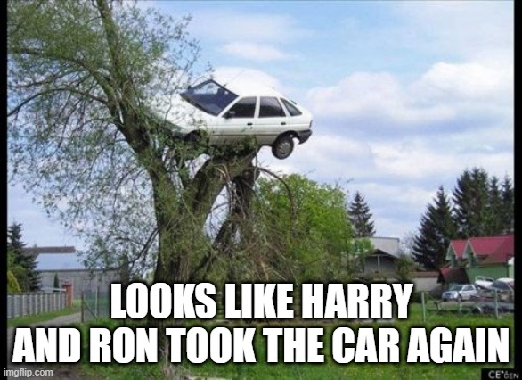 Stole the Magic Car | LOOKS LIKE HARRY AND RON TOOK THE CAR AGAIN | image tagged in memes,secure parking | made w/ Imgflip meme maker
