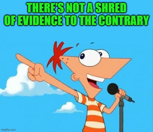 Phineas and ferb | THERE'S NOT A SHRED OF EVIDENCE TO THE CONTRARY | image tagged in phineas and ferb | made w/ Imgflip meme maker