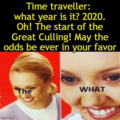 The What | Time traveller: 
what year is it? 2020.
Oh! The start of the Great Culling! May the odds be ever in your favor | image tagged in the what | made w/ Imgflip meme maker