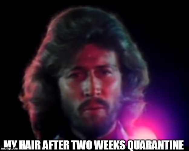 My hair after two weeks quarantine | MY HAIR AFTER TWO WEEKS QUARANTINE | image tagged in quarantine,bee gees,funny memes | made w/ Imgflip meme maker