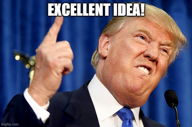 Donald Trump | EXCELLENT IDEA! | image tagged in donald trump | made w/ Imgflip meme maker