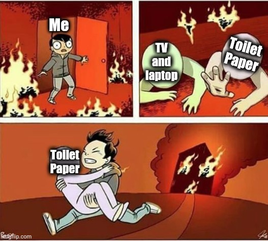 You Can Only Save one From Fire | Me; TV and laptop; Toilet Paper; Toilet Paper | image tagged in you can only save one from fire | made w/ Imgflip meme maker