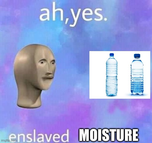 Ah yes,enslaved | MOISTURE | image tagged in ah yes enslaved | made w/ Imgflip meme maker