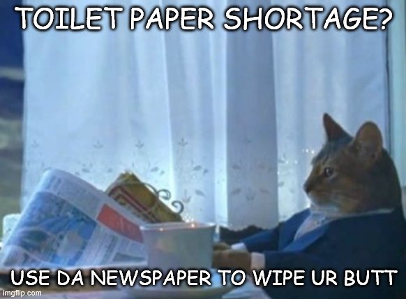 I Should Buy A Boat Cat | TOILET PAPER SHORTAGE? USE DA NEWSPAPER TO WIPE UR BUTT | image tagged in memes,i should buy a boat cat,no more toilet paper | made w/ Imgflip meme maker