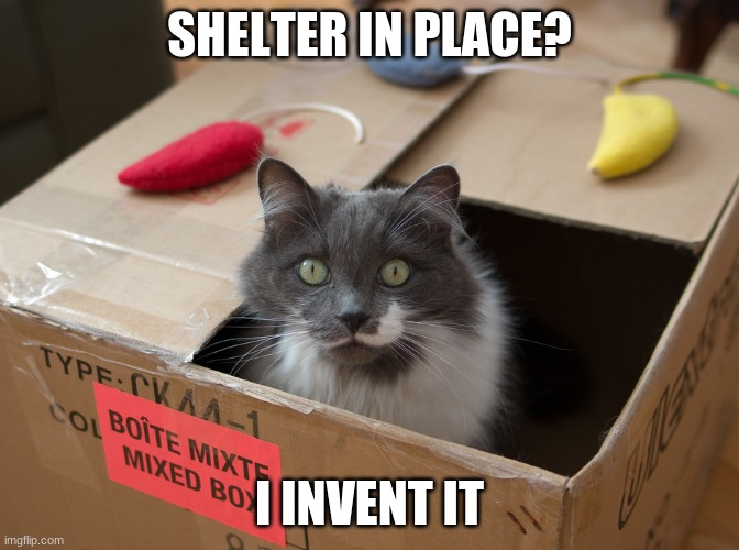 Shelter in Place | SHELTER IN PLACE? I INVENT IT | image tagged in coronavirus,cat,shelter in place | made w/ Imgflip meme maker