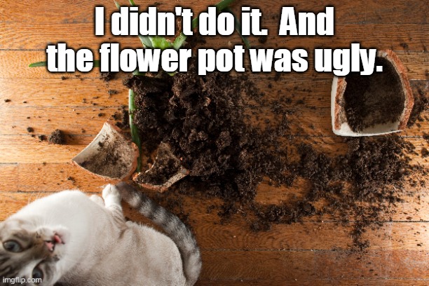 Cat breaks stuff | I didn't do it.  And the flower pot was ugly. | image tagged in cats | made w/ Imgflip meme maker