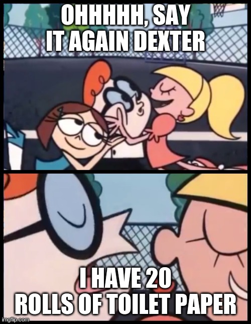 Say it Again, Dexter Meme | OHHHHH, SAY IT AGAIN DEXTER; I HAVE 20 ROLLS OF TOILET PAPER | image tagged in memes,say it again dexter | made w/ Imgflip meme maker