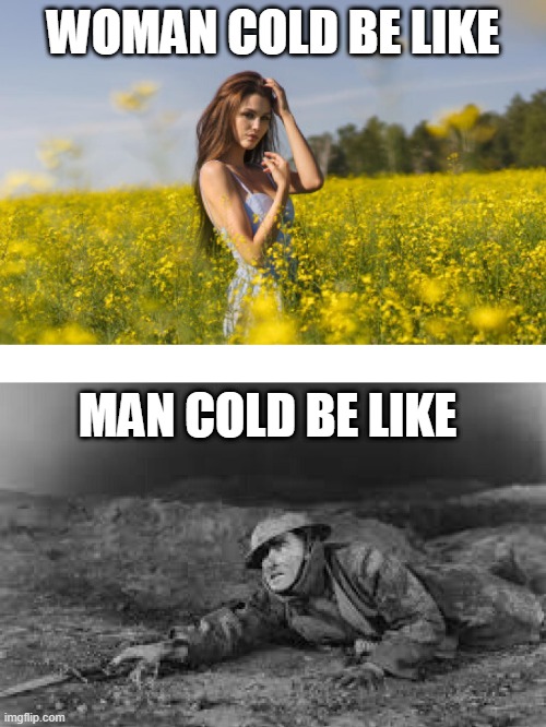 Man Cold | WOMAN COLD BE LIKE; MAN COLD BE LIKE | image tagged in funny,sick,cold,pretty,memes,war | made w/ Imgflip meme maker