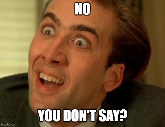 nic cage | NO YOU DON'T SAY? | image tagged in nic cage | made w/ Imgflip meme maker
