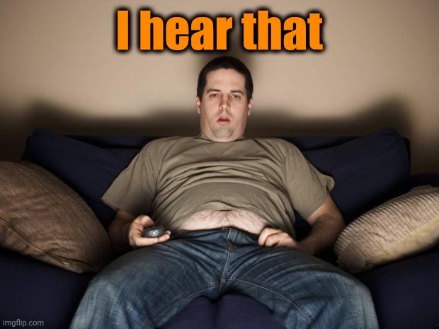 lazy fat guy on the couch | I hear that | image tagged in lazy fat guy on the couch | made w/ Imgflip meme maker