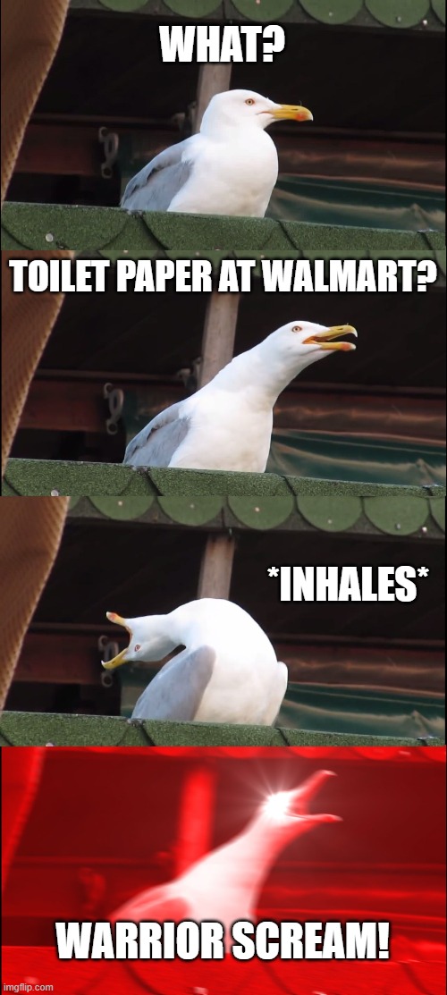 Inhaling Seagull | WHAT? TOILET PAPER AT WALMART? *INHALES*; WARRIOR SCREAM! | image tagged in memes,inhaling seagull | made w/ Imgflip meme maker