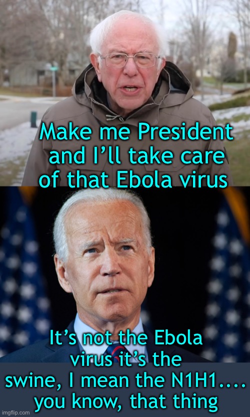 Oh for two - - not great | Make me President and I’ll take care of that Ebola virus; It’s not the Ebola virus it’s the swine, I mean the N1H1.... you know, that thing | image tagged in china virus,not the ebola virus,not the swine flu,and its h1n1 | made w/ Imgflip meme maker