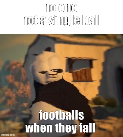 Drunk Kung Fu Panda | no one 
not a single ball; footballs when they fall | image tagged in drunk kung fu panda | made w/ Imgflip meme maker