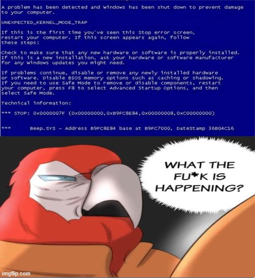 image tagged in blue screen of death,parrot,wtf is even happening,screen of death,blue death screen,memes | made w/ Imgflip meme maker