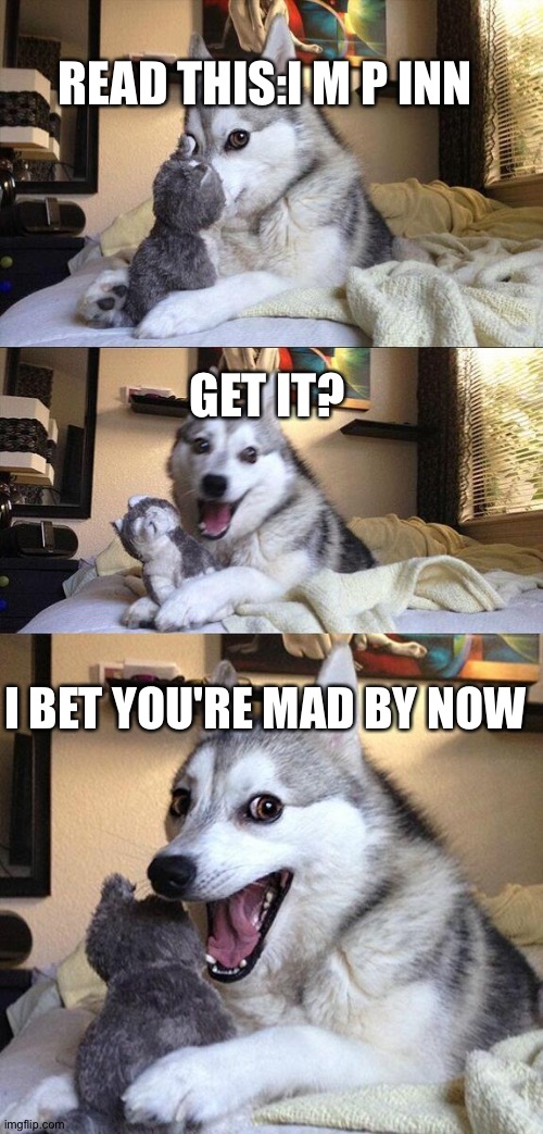 Bad Pun Dog Meme | READ THIS:I M P INN; GET IT? I BET YOU'RE MAD BY NOW | image tagged in memes,bad pun dog | made w/ Imgflip meme maker