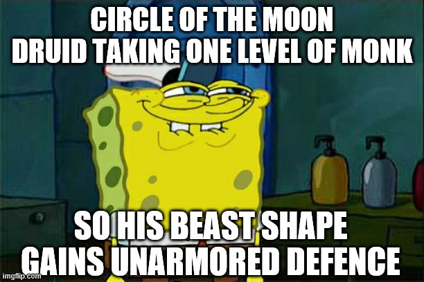 Don't You Squidward | CIRCLE OF THE MOON DRUID TAKING ONE LEVEL OF MONK; SO HIS BEAST SHAPE GAINS UNARMORED DEFENCE | image tagged in memes,dont you squidward | made w/ Imgflip meme maker