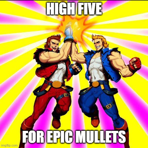 HIGH FIVE; FOR EPIC MULLETS | image tagged in lee bros mullet | made w/ Imgflip meme maker