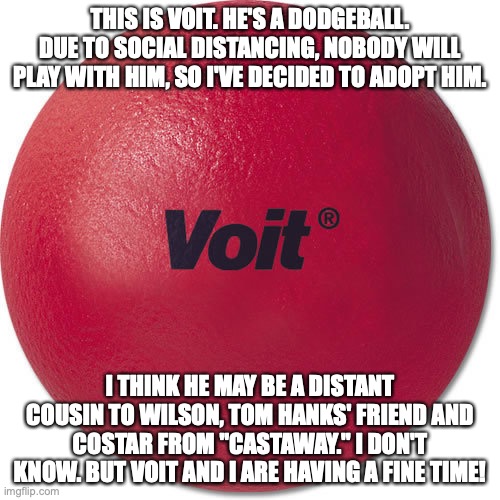 THIS IS VOIT. HE'S A DODGEBALL. DUE TO SOCIAL DISTANCING, NOBODY WILL PLAY WITH HIM, SO I'VE DECIDED TO ADOPT HIM. I THINK HE MAY BE A DISTANT COUSIN TO WILSON, TOM HANKS' FRIEND AND COSTAR FROM "CASTAWAY." I DON'T KNOW. BUT VOIT AND I ARE HAVING A FINE TIME! | made w/ Imgflip meme maker