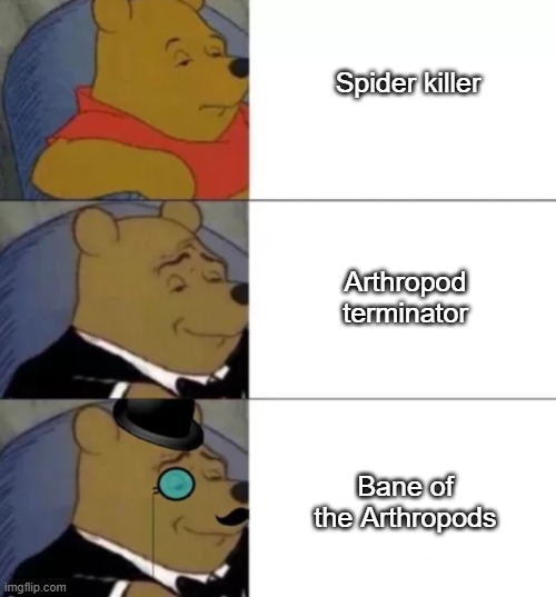 Bane of the arthropods | Spider killer; Arthropod terminator; Bane of the Arthropods | image tagged in fancy pooh,minecraft | made w/ Imgflip meme maker
